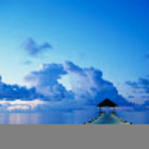 Meet your Posher, Harleen frances